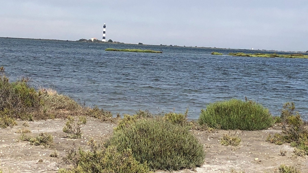 Photo of Others in Arles