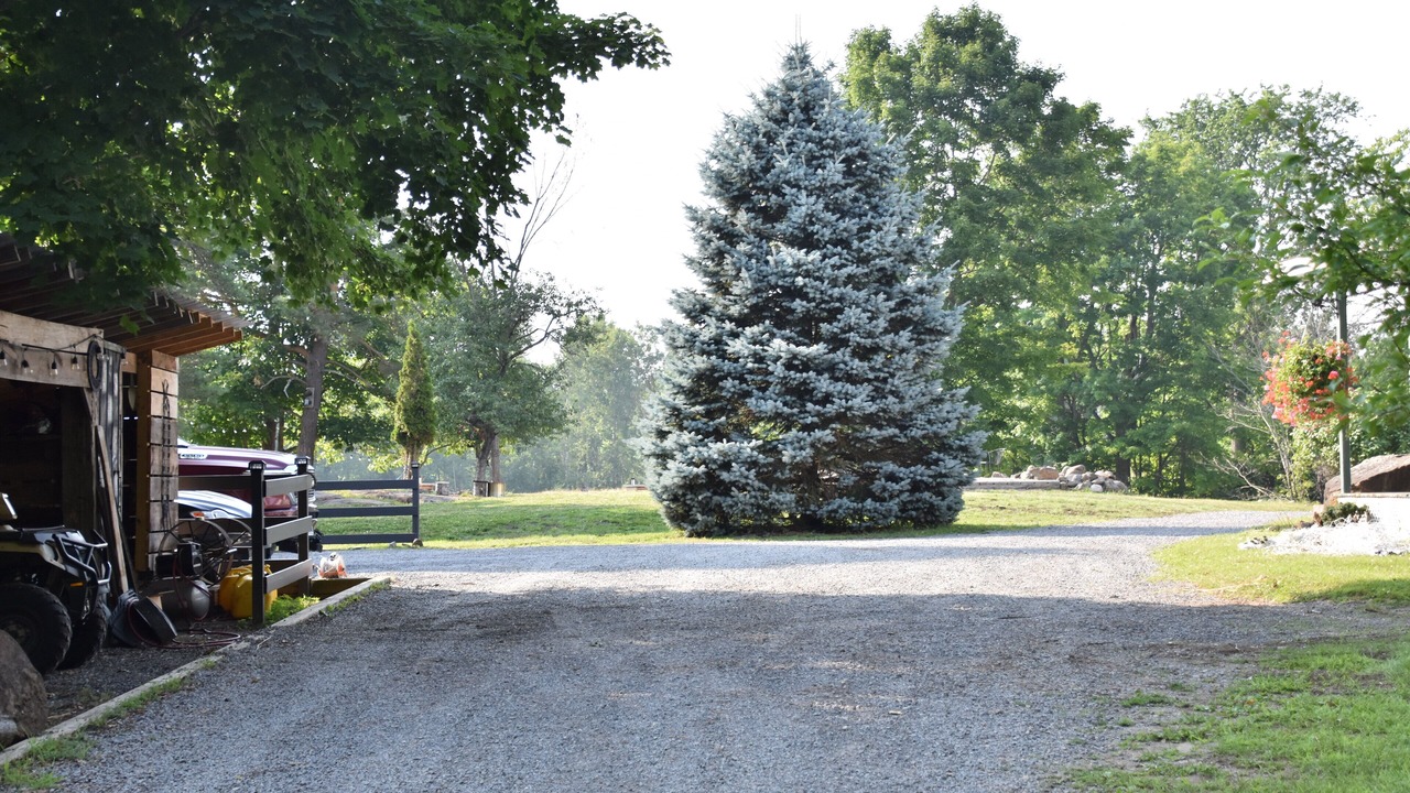 Photo of Others in Parham