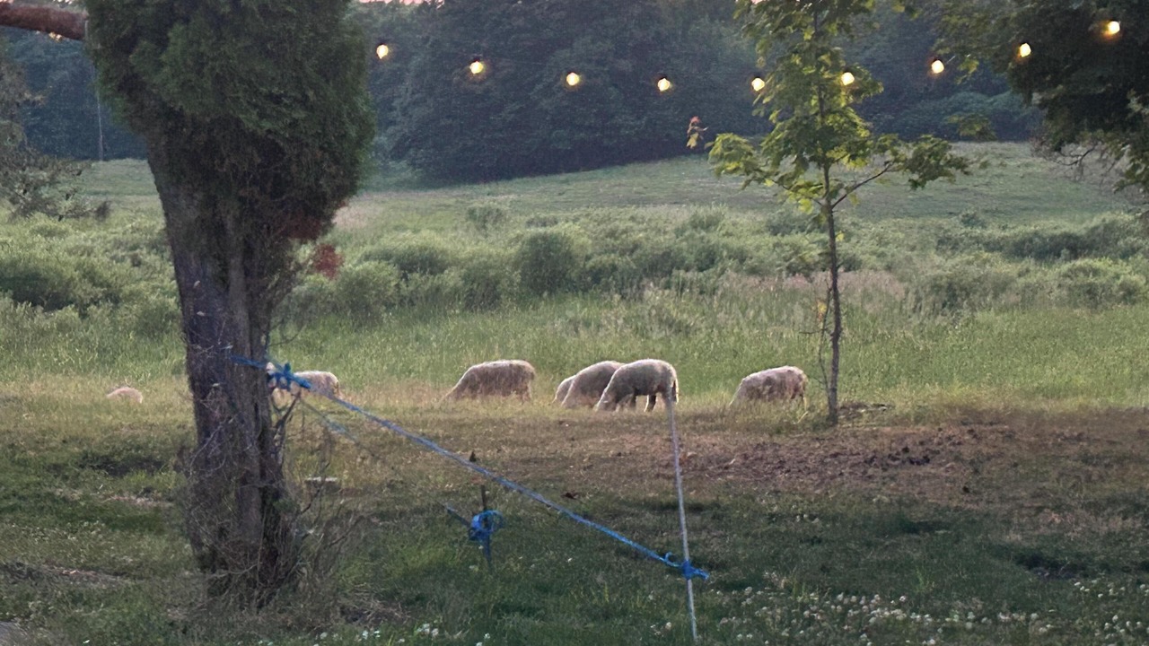 Photo of Others in Parham