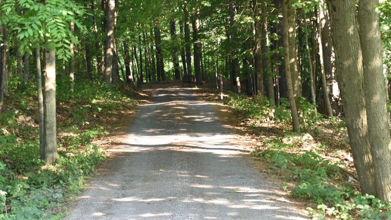 Photo of Others in Parham