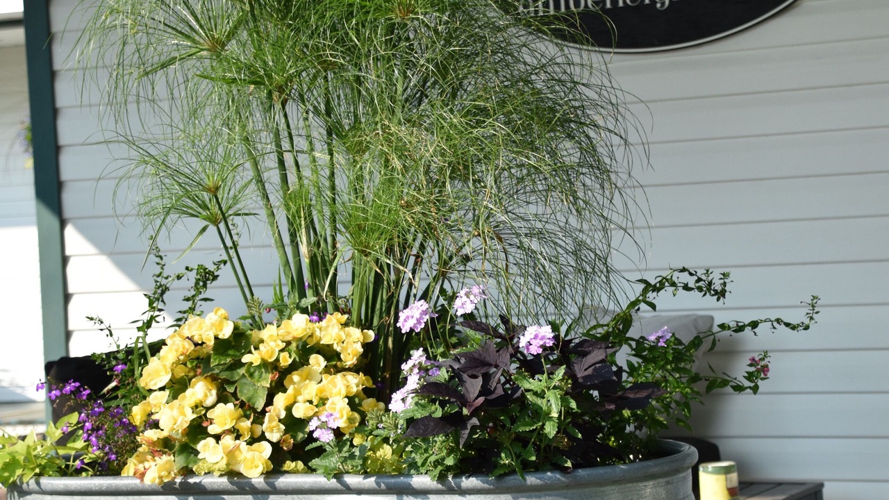 Photo of Outdoor in Parham