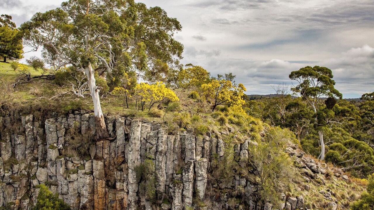 Photo of Others in Malmsbury