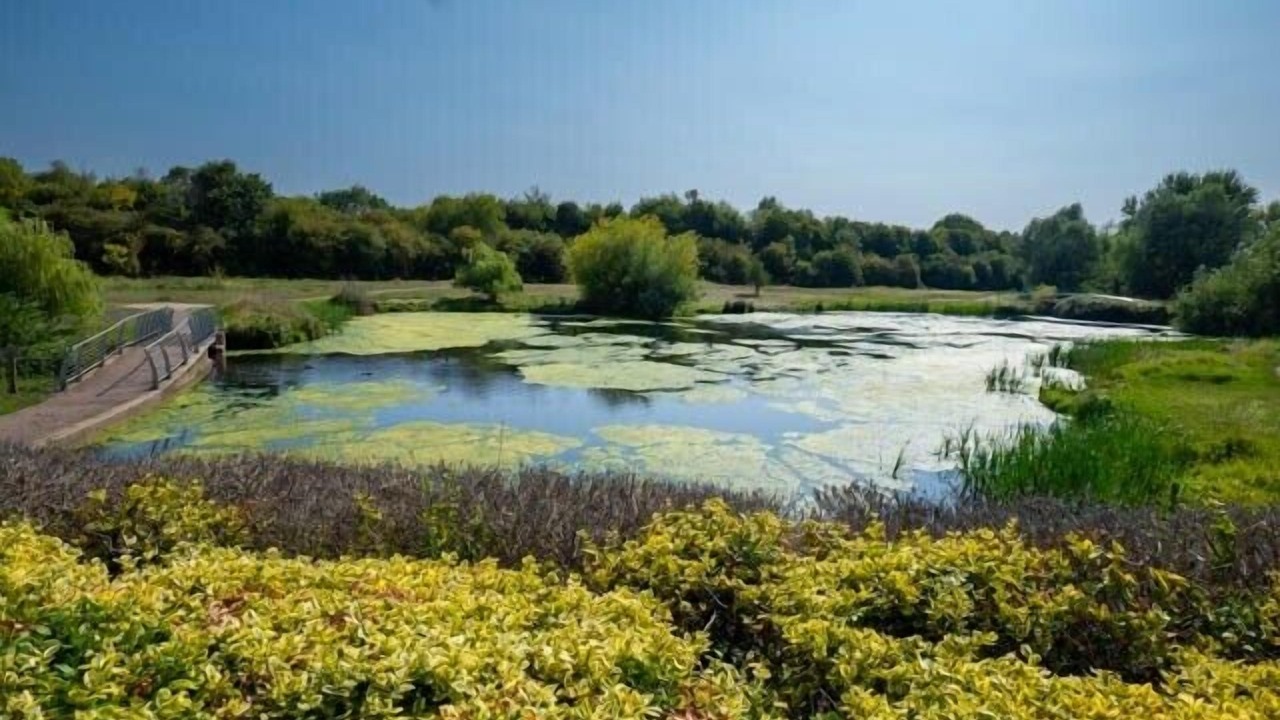 Photo of Others in Bletchley