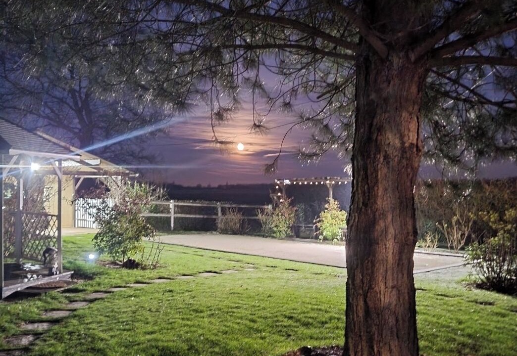 Photo of Outdoor in La Roussiere