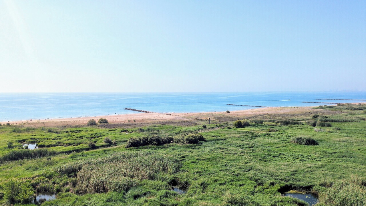 Photo of Others in Playa Pobla de Farnals