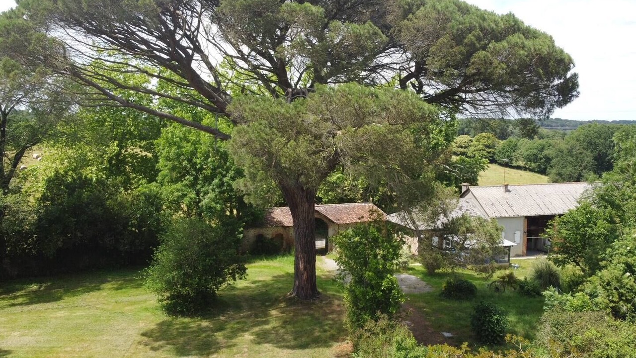 Photo of Outdoor in Tarasteix