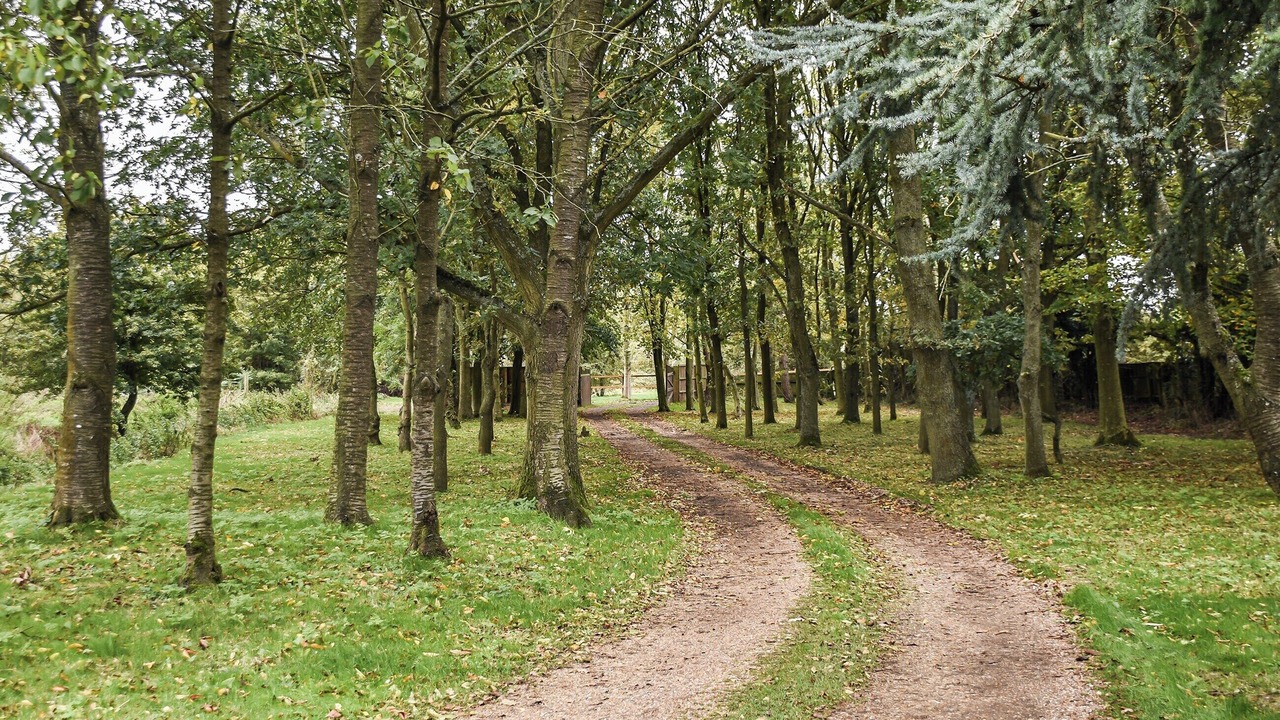 Photo of Outdoor in Hethel