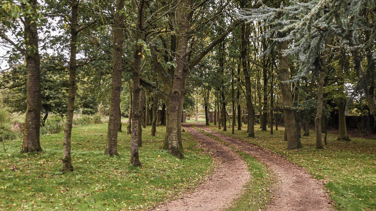 Photo of Outdoor in Hethel