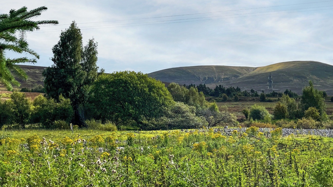 Photo of Others in Dalwhinnie
