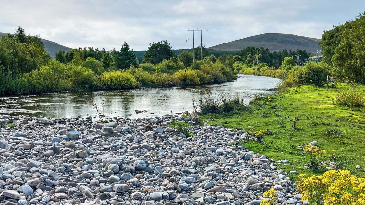 Photo of Others in Dalwhinnie