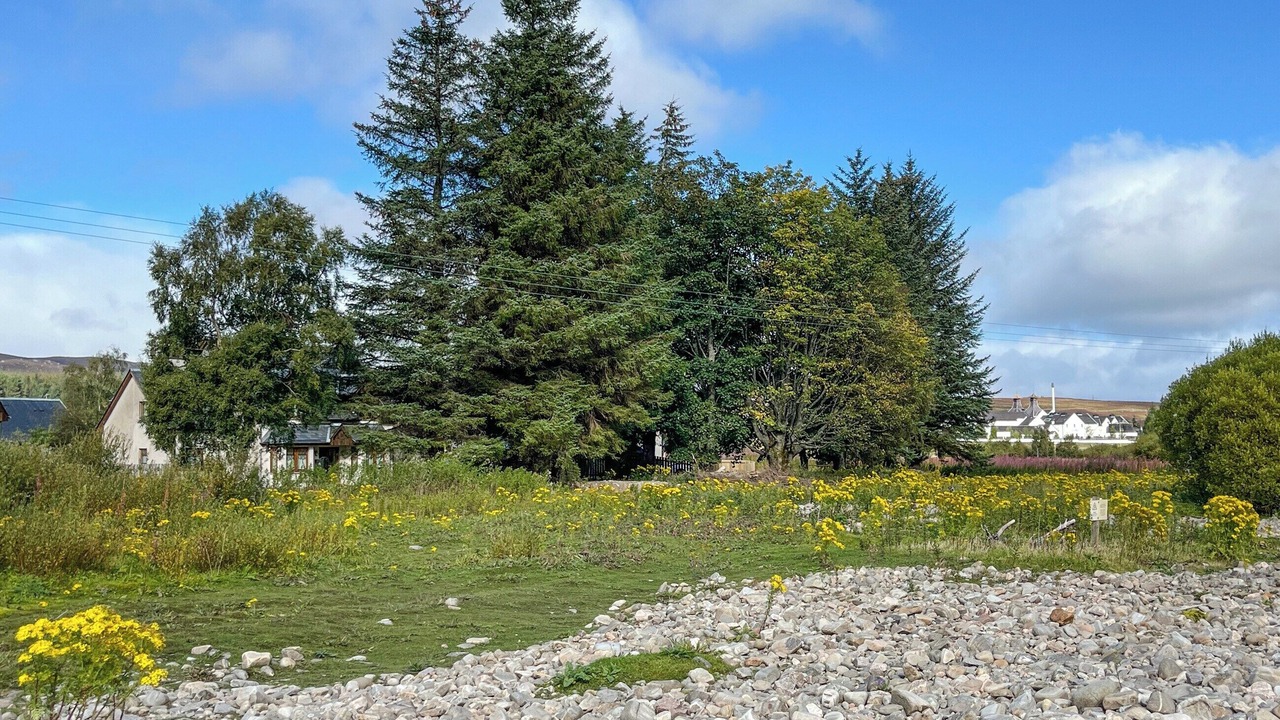 Photo of Others in Dalwhinnie