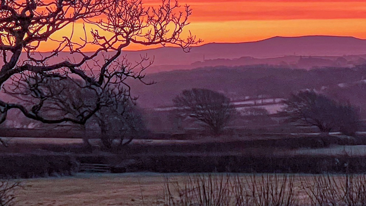 Photo of Others in Woolfardisworthy