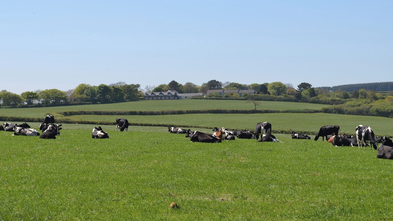 Photo of Others in Woolfardisworthy