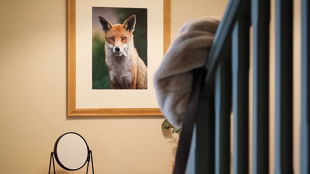 Photo of Others in Much Wenlock