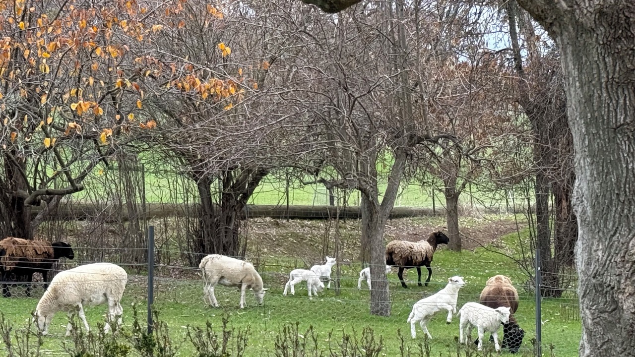 Photo of Others in Greg Greg