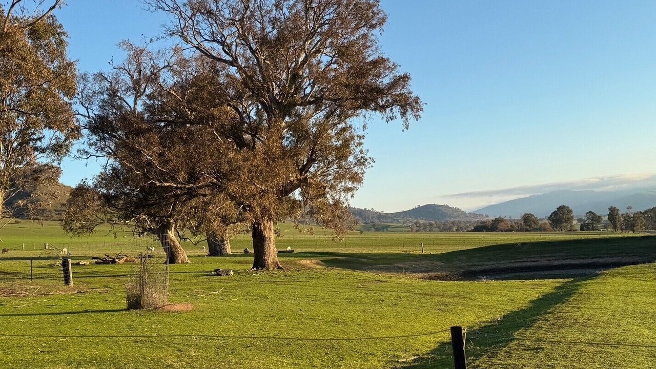 Photo of Others in Greg Greg