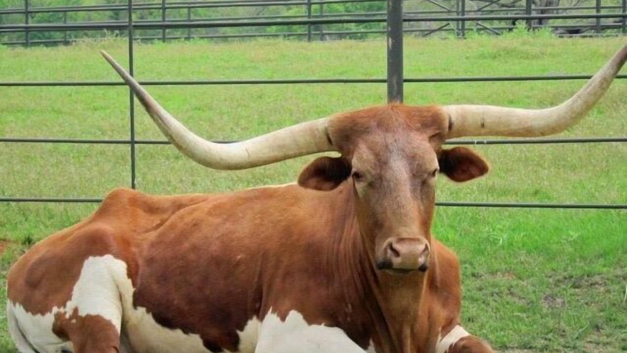 Photo of Others in Weatherford