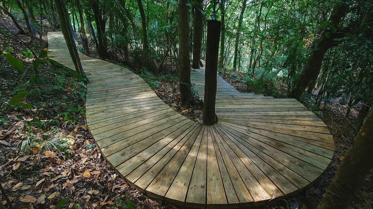 Photo of Outdoor in Palm Beach