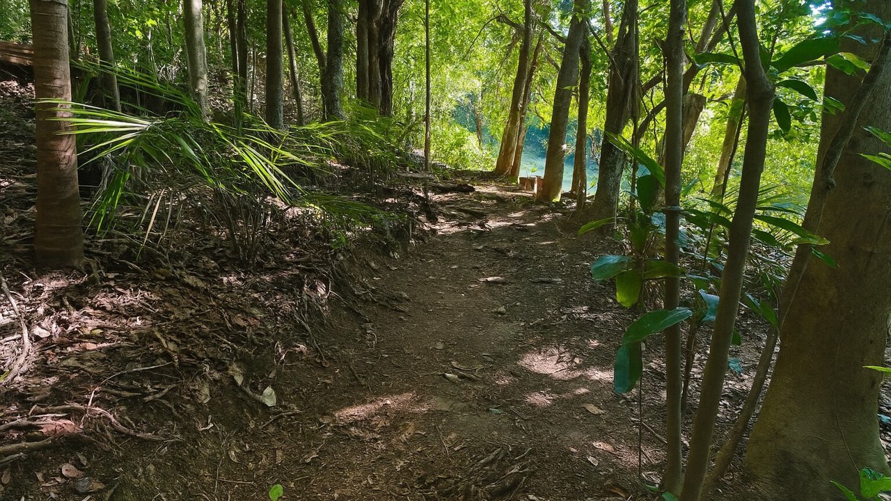 Photo of Outdoor in Palm Beach