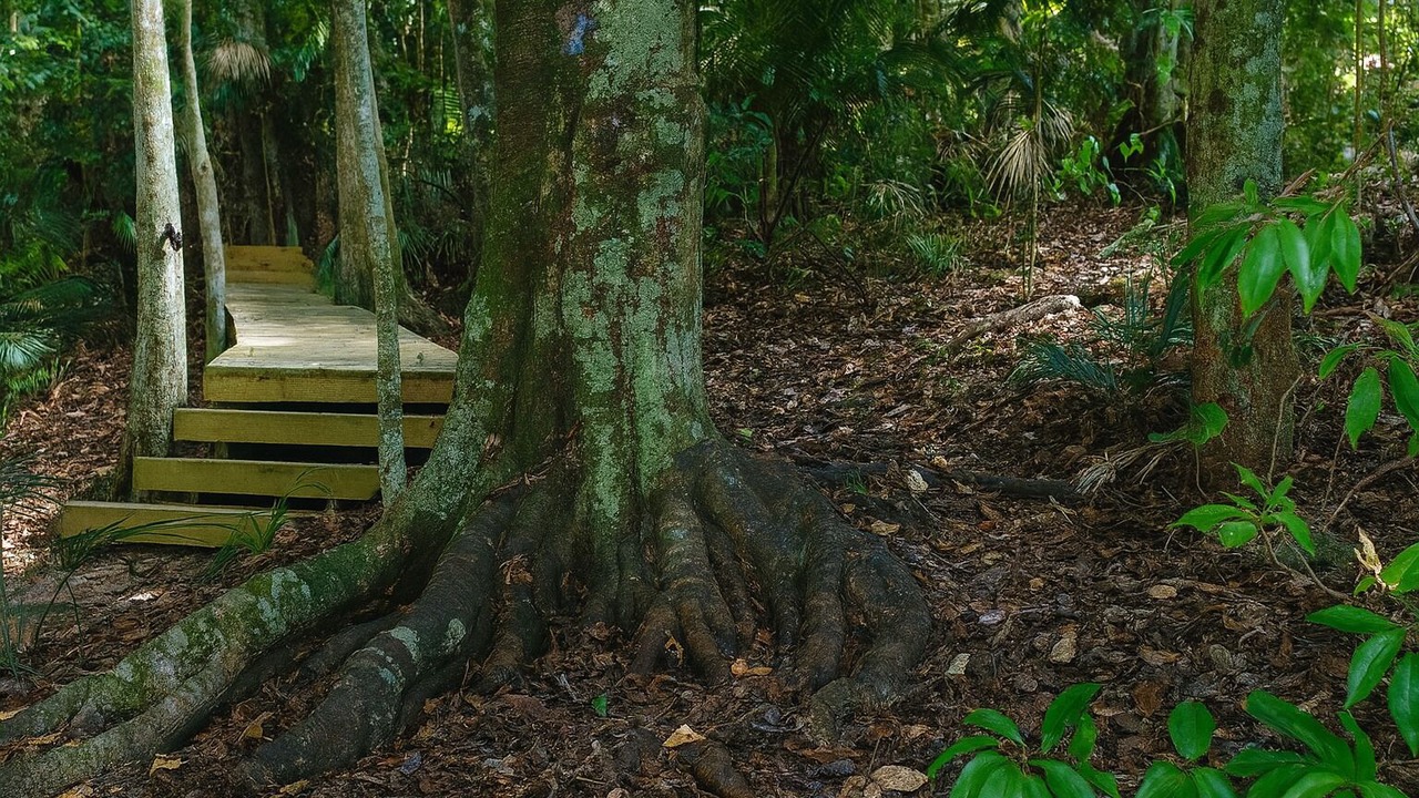 Photo of Outdoor in Palm Beach