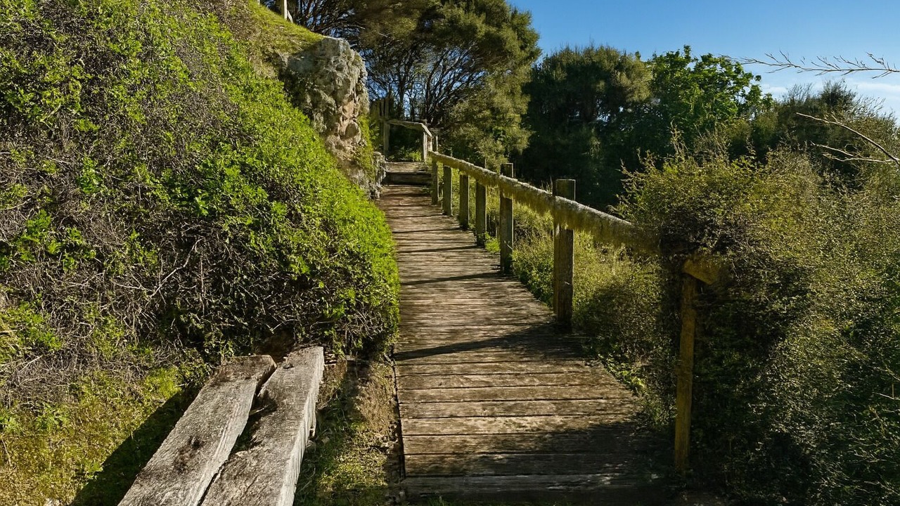 Photo of Others in Palm Beach