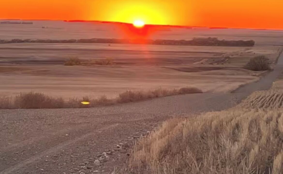 Photo of Others in Herbert
