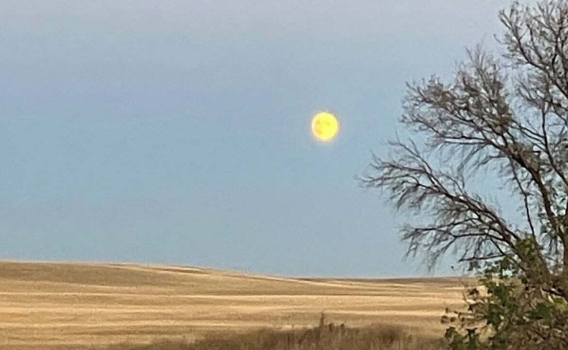 Photo of Others in Herbert
