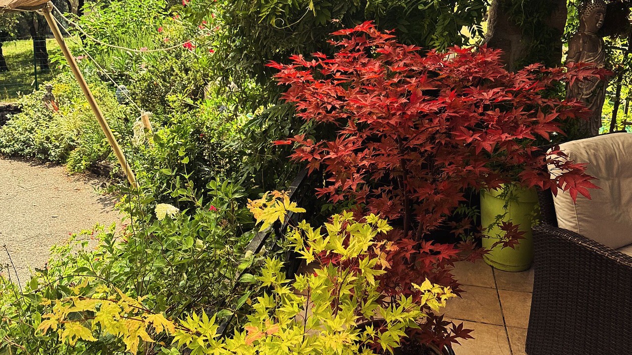 Photo of Outdoor in Saint-Germain