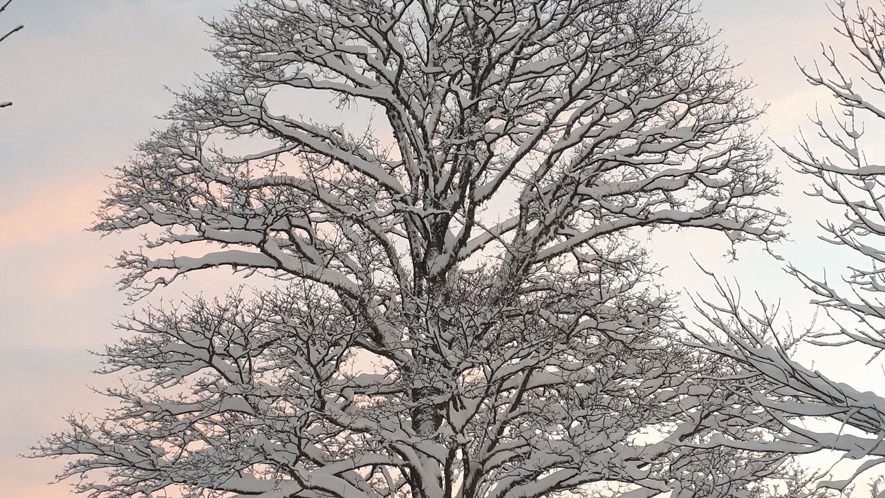 Photo of Others in Yssingeaux