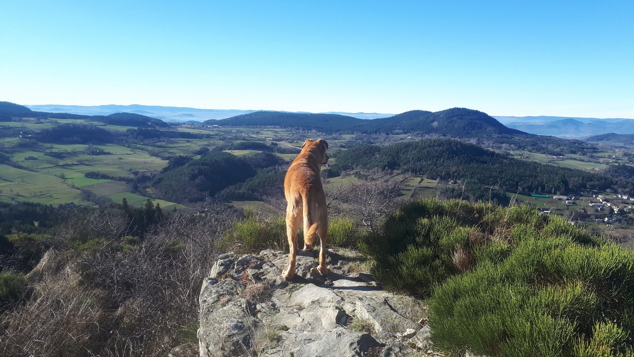 Photo of Others in Yssingeaux