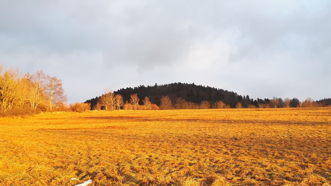 Photo of Others in Yssingeaux