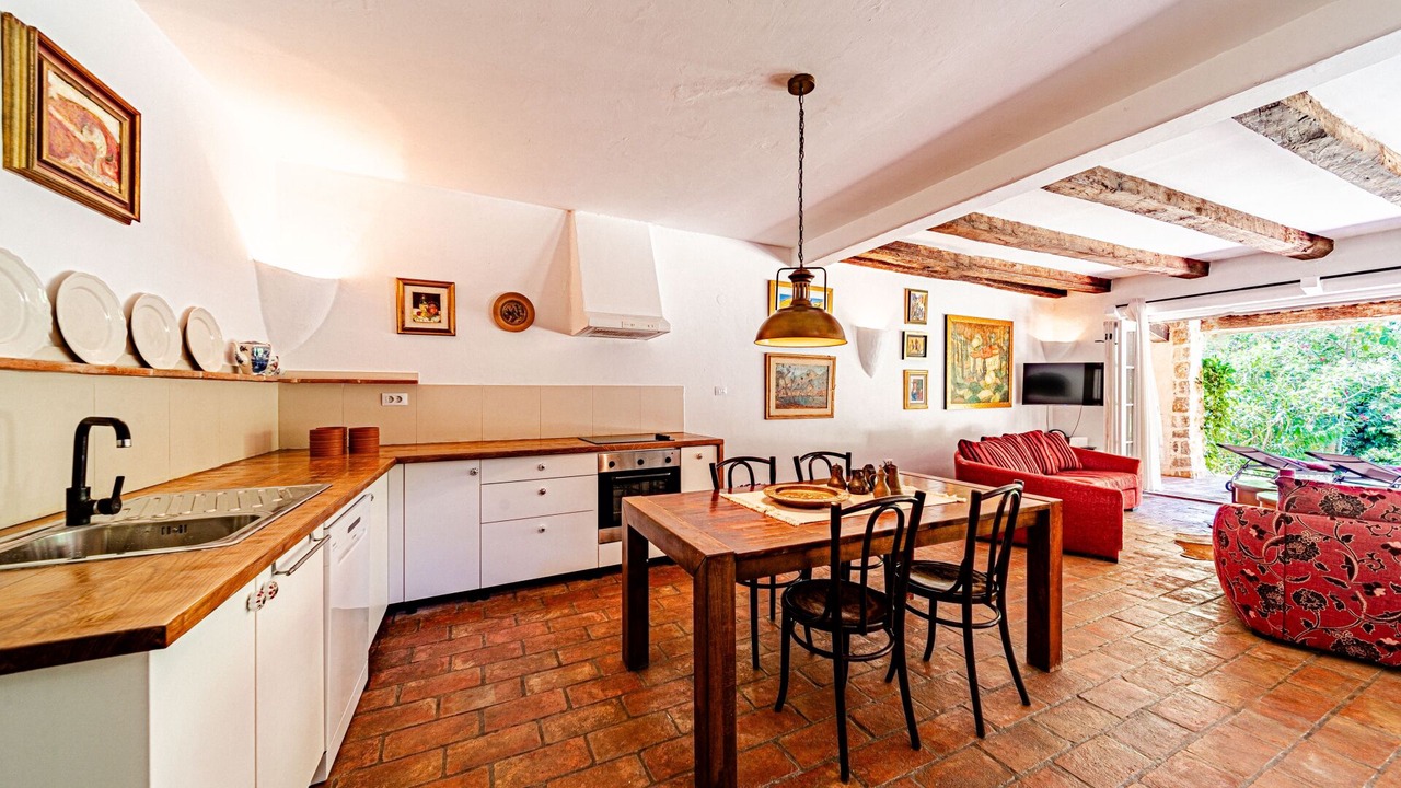 Photo of Kitchen in Trstenik