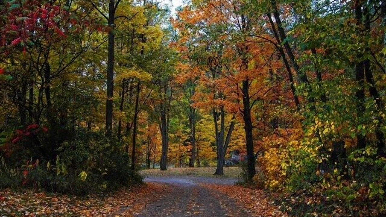 Photo of Others in Gilboa