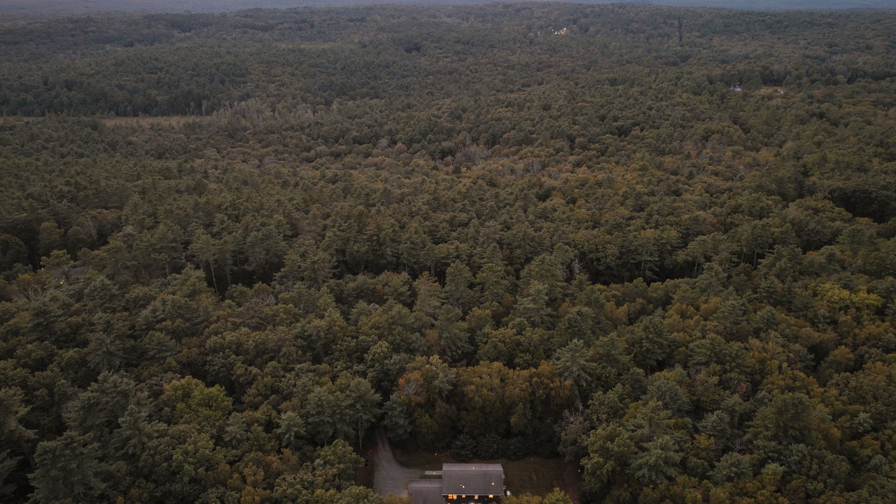 Photo of Outdoor in Barryville