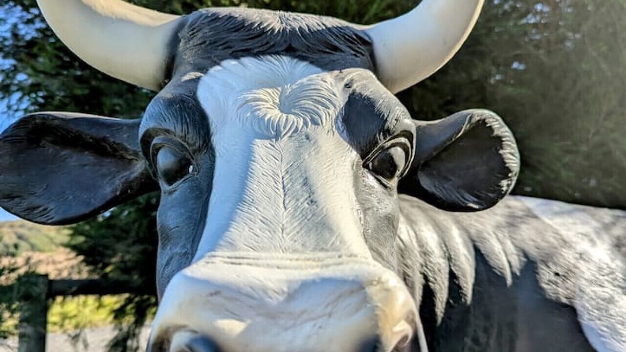 Photo of Others in Venus Bay