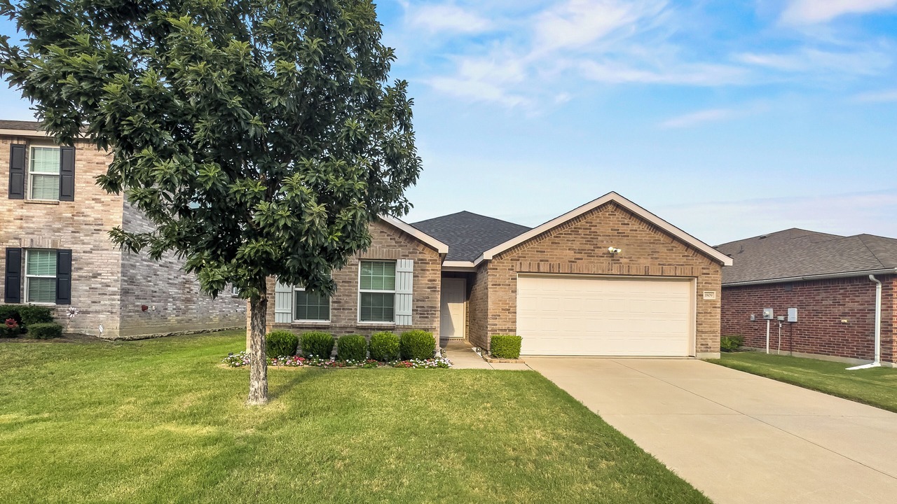 Photo of Outdoor in Little Elm