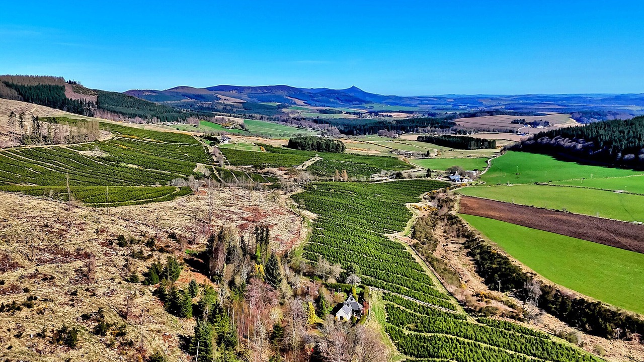 Photo of Others in Inverurie