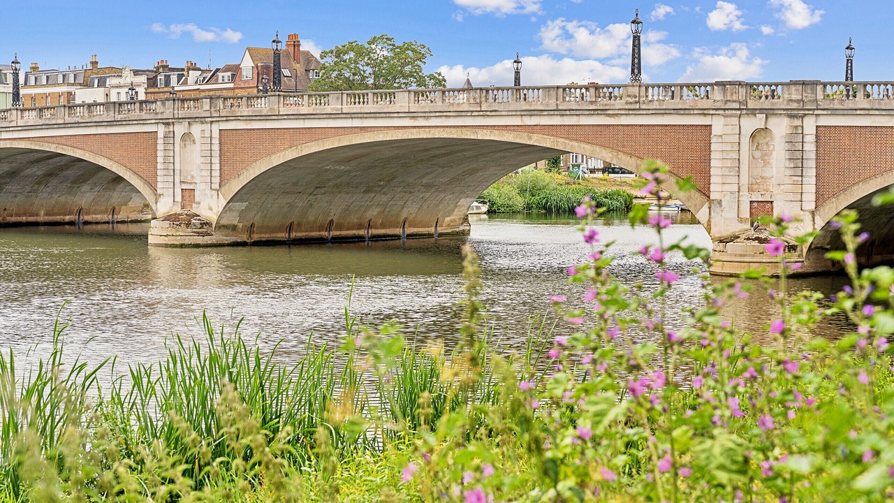 Photo of Others in Richmond-upon-Thames