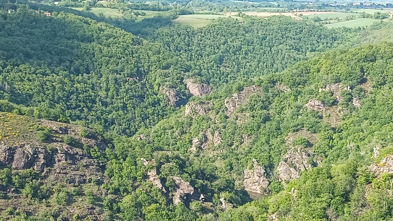 Photo of Others in Pampelonne