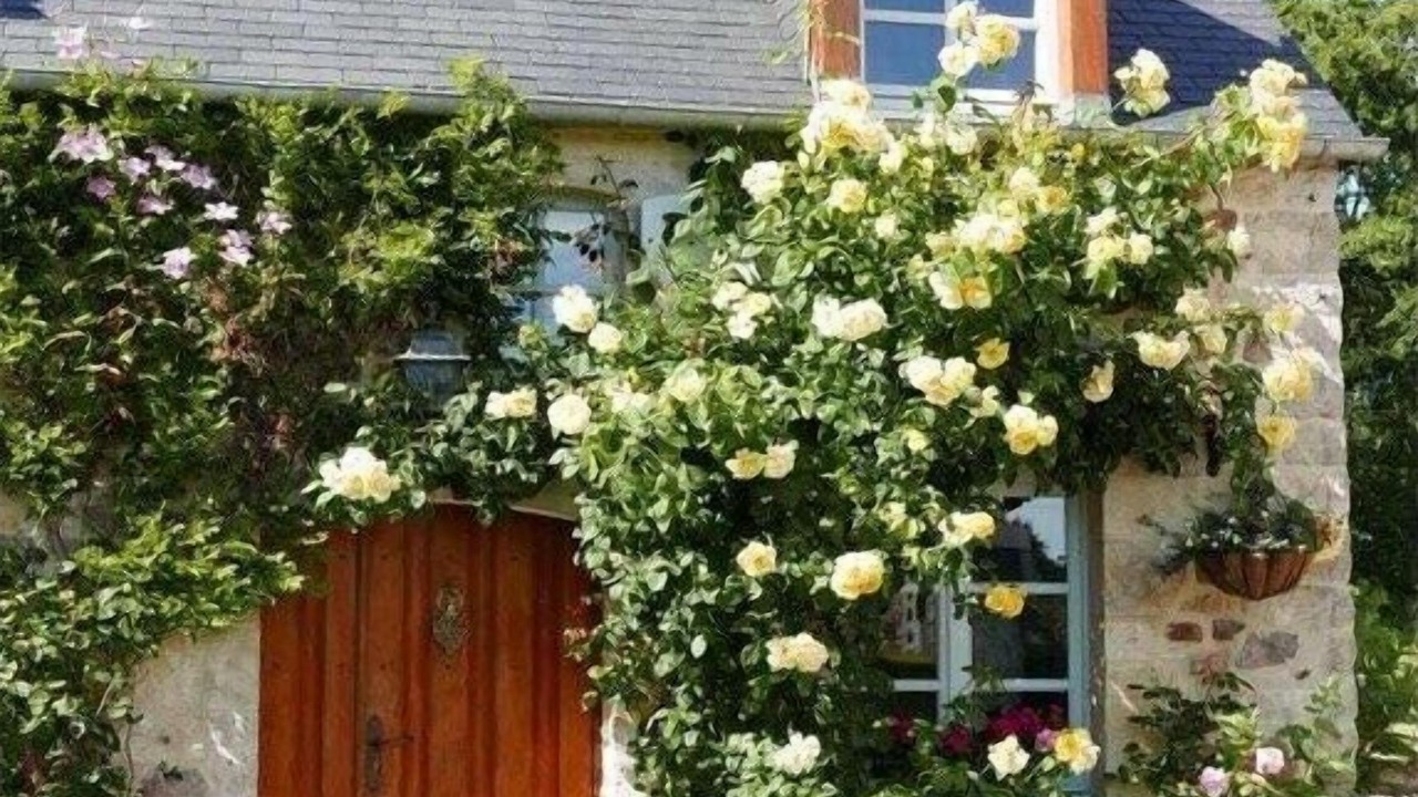 Photo of Outdoor in Negreville