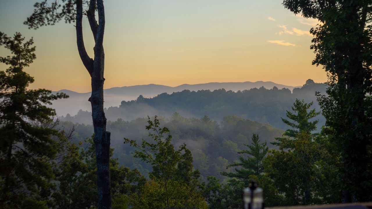 Photo of Others in Ellijay