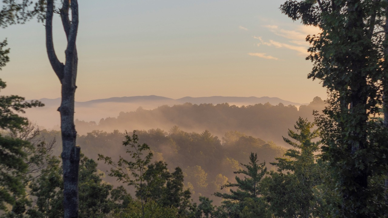 Photo of Others in Ellijay