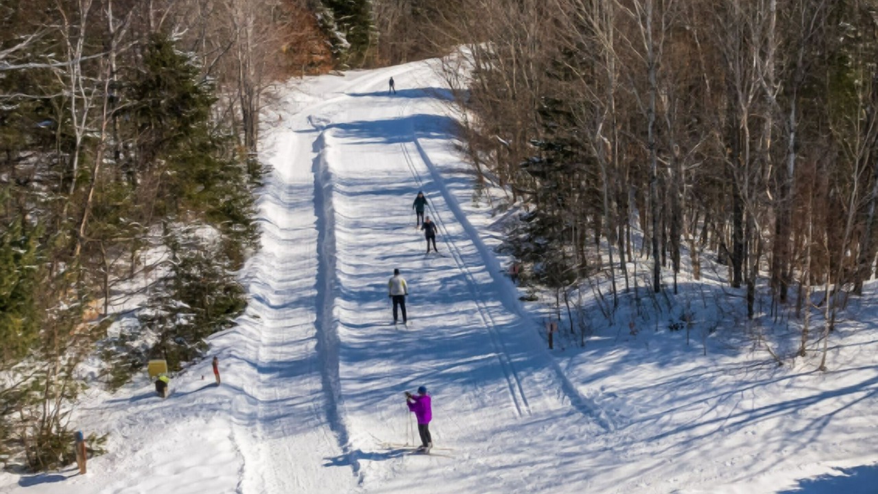 Photo of Others in Mauricie
