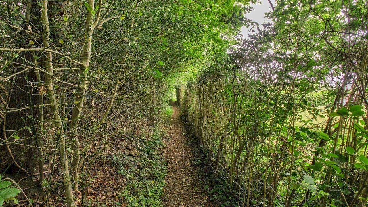 Photo of Others in Royal Tunbridge Wells