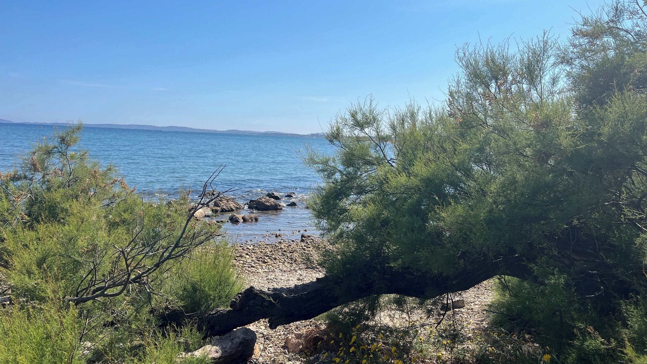 Photo of Others in Hyeres