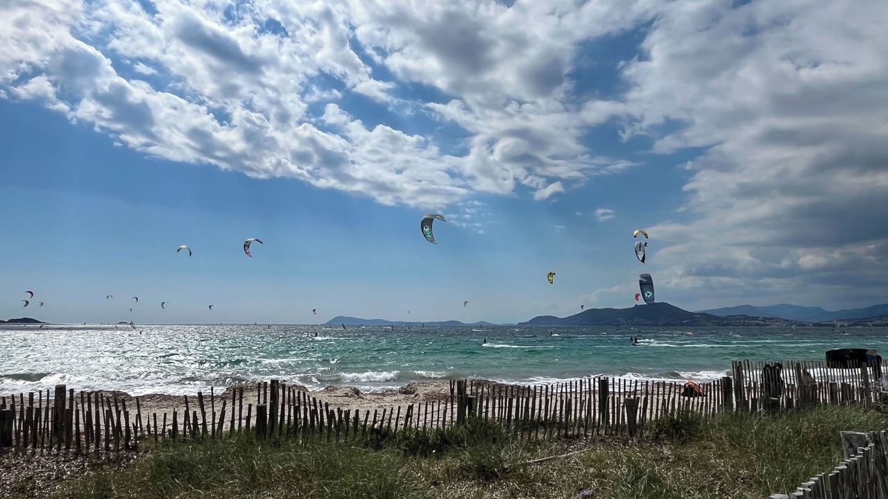 Photo of Others in Hyeres