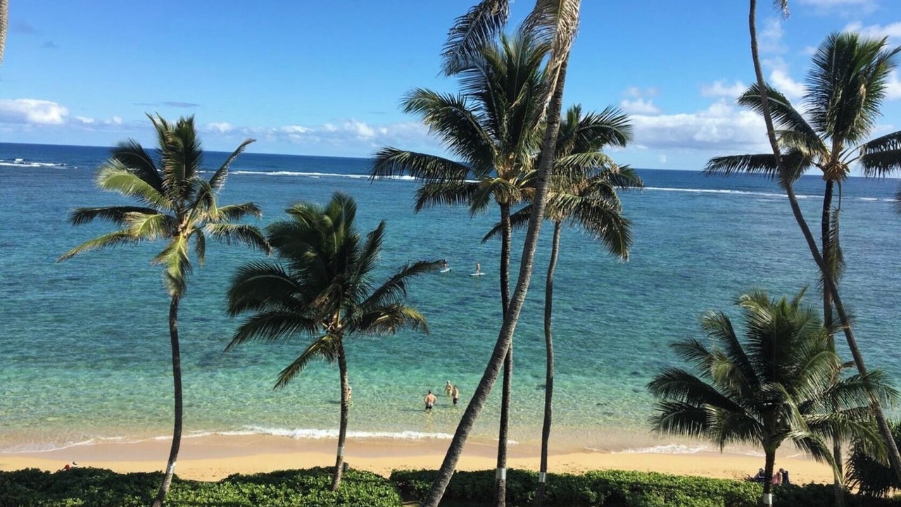 Photo of Others in Punaluu