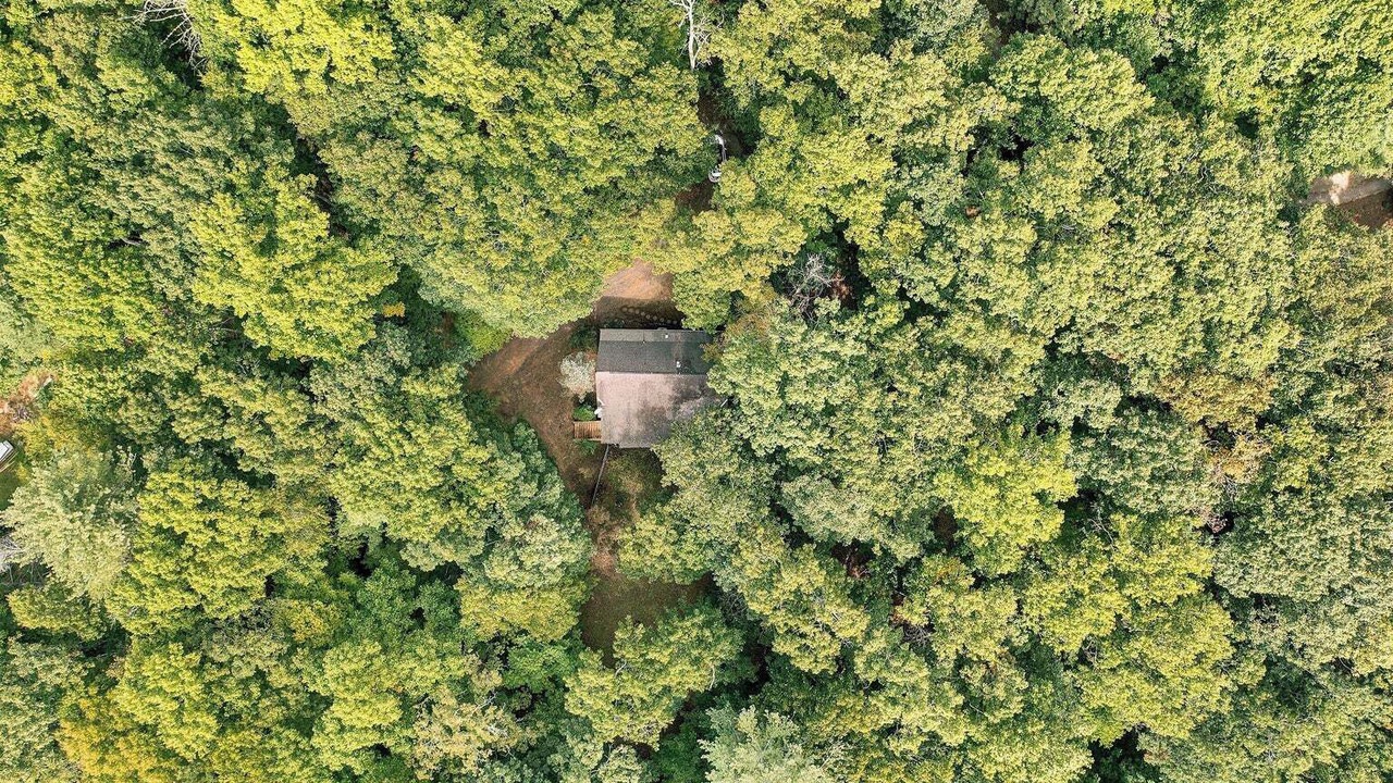 Photo of Outdoor in Bent Mountain