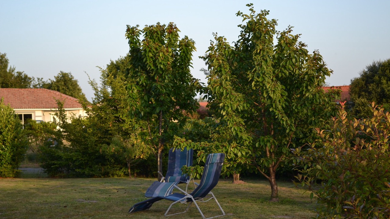 Photo of Outdoor in Bias