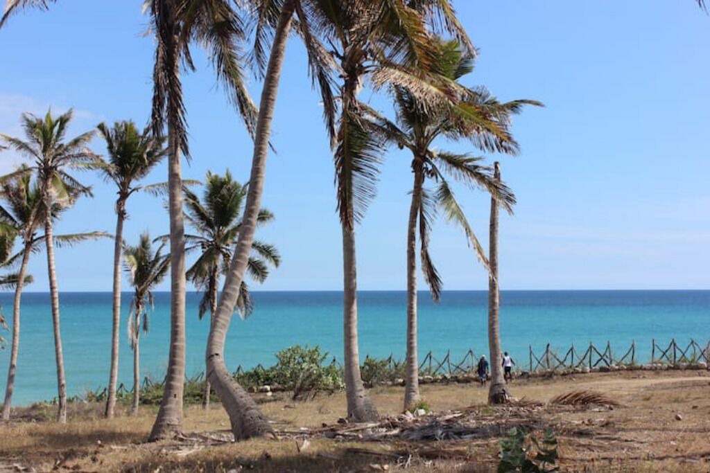 Photo of Others in Samana